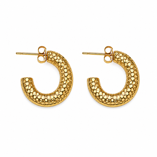 Aurora Textured Hoops