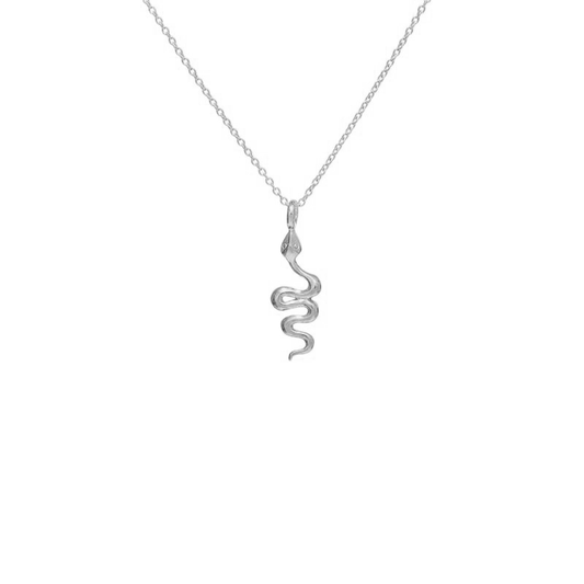 Snake Pendant Necklace