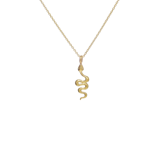 Snake Pendant Necklace