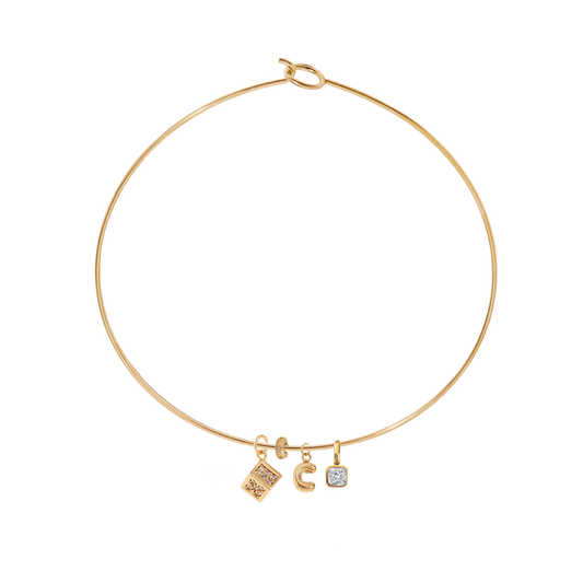 Custom Iris Charm Necklace