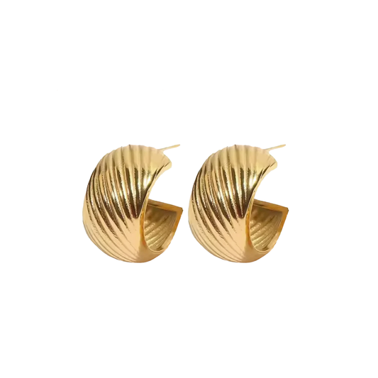 Hugo Hoops