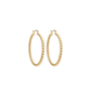 Rope Hoops