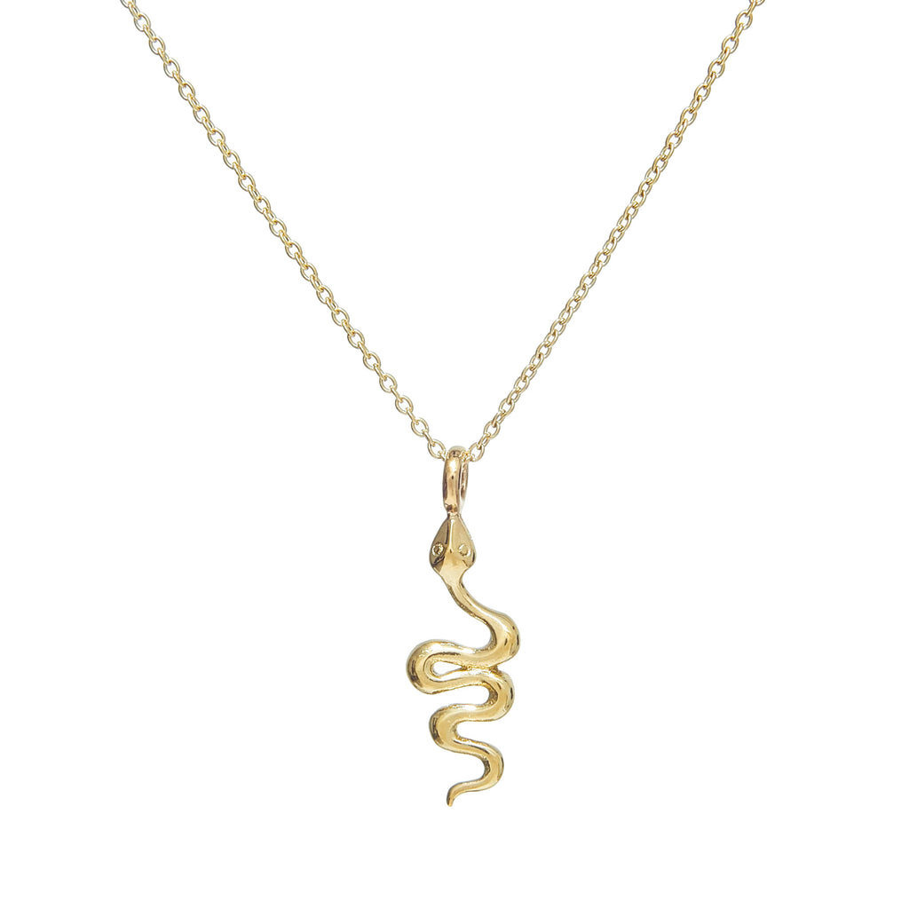Snake Pendant Necklace

